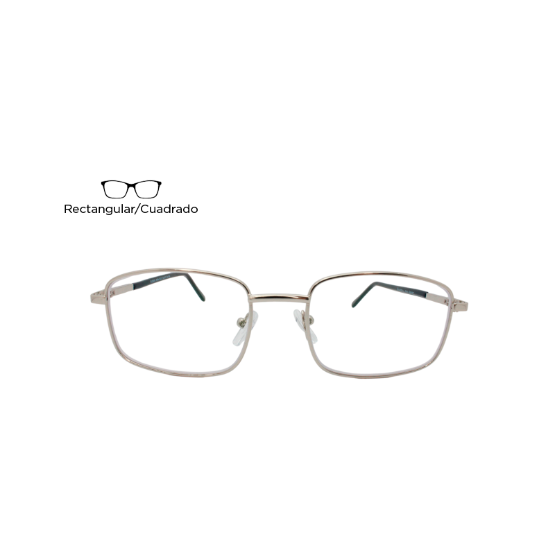 Lente Oftálmico Susan Ana Eyewear 1013 Plata